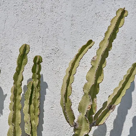 Topos Exclusive Santorini Villa Imerovígli