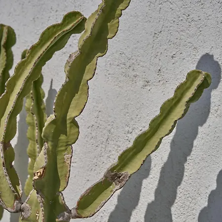 Topos Exclusive Santorini *