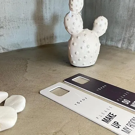 Topos Exclusive Santorini 别墅 易莫洛林