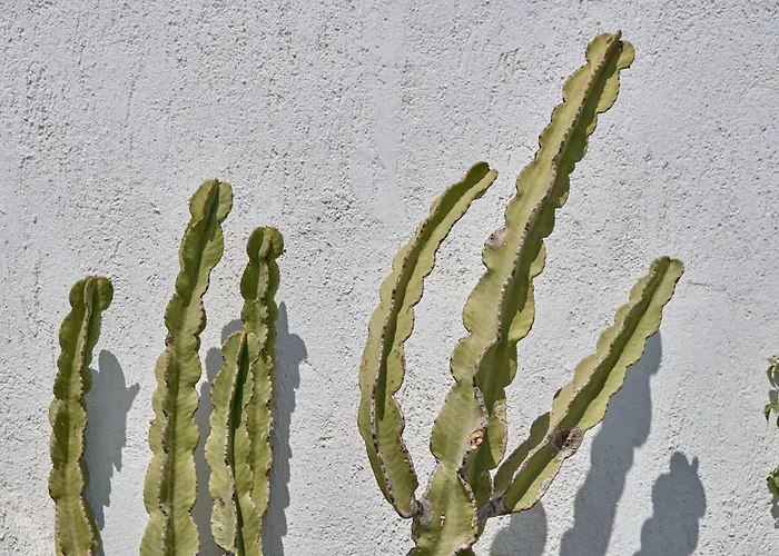 Topos Exclusive Santorini Villa Imerovigli (Santorini)