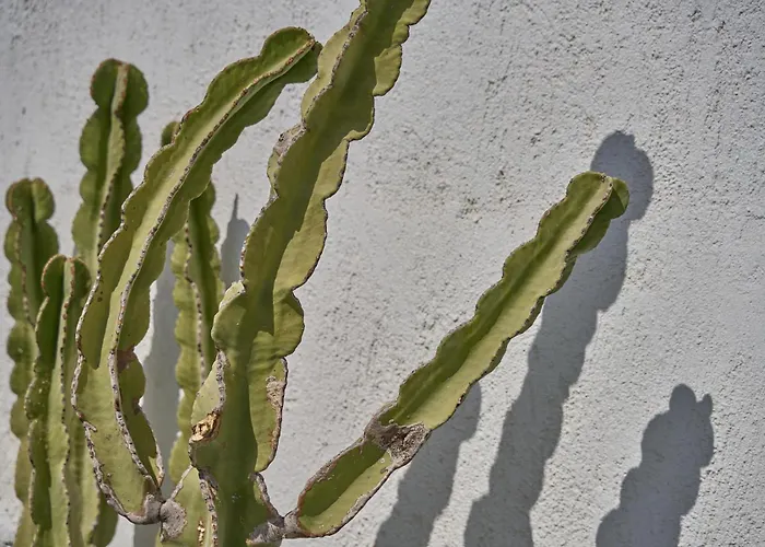 Topos Exclusive Santorini *