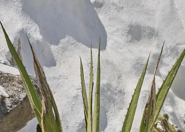 Topos Exclusive Santorini *